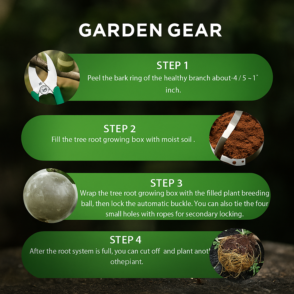 RootRise™ Reusable Plant Root Growth Box + Free Pot Mix (100gm)