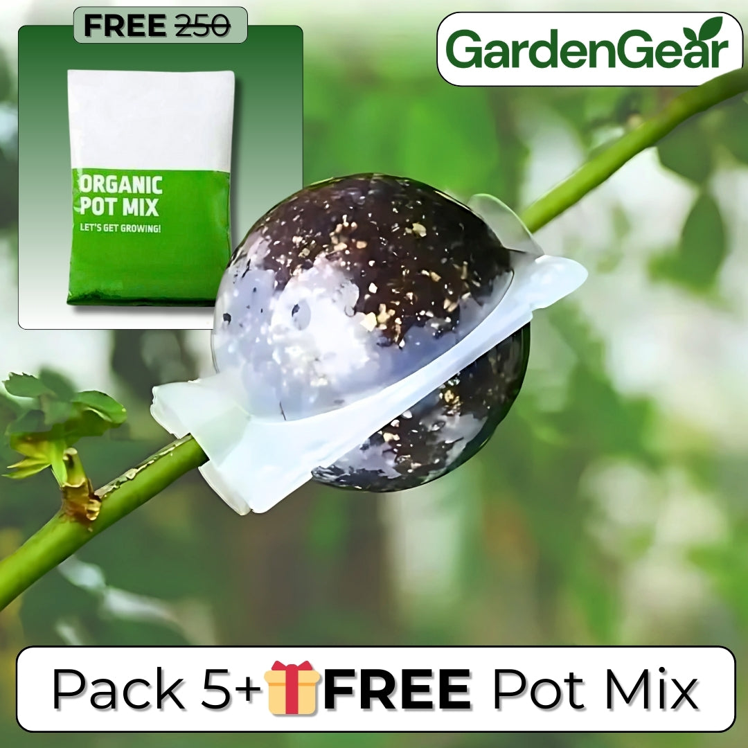 RootRise™ Reusable Plant Root Growth Box + Free Pot Mix (100gm)
