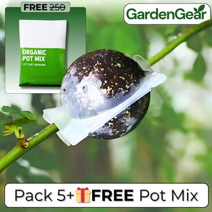 RootRise™ Reusable Plant Root Growth Box + Free Pot Mix (100gm)