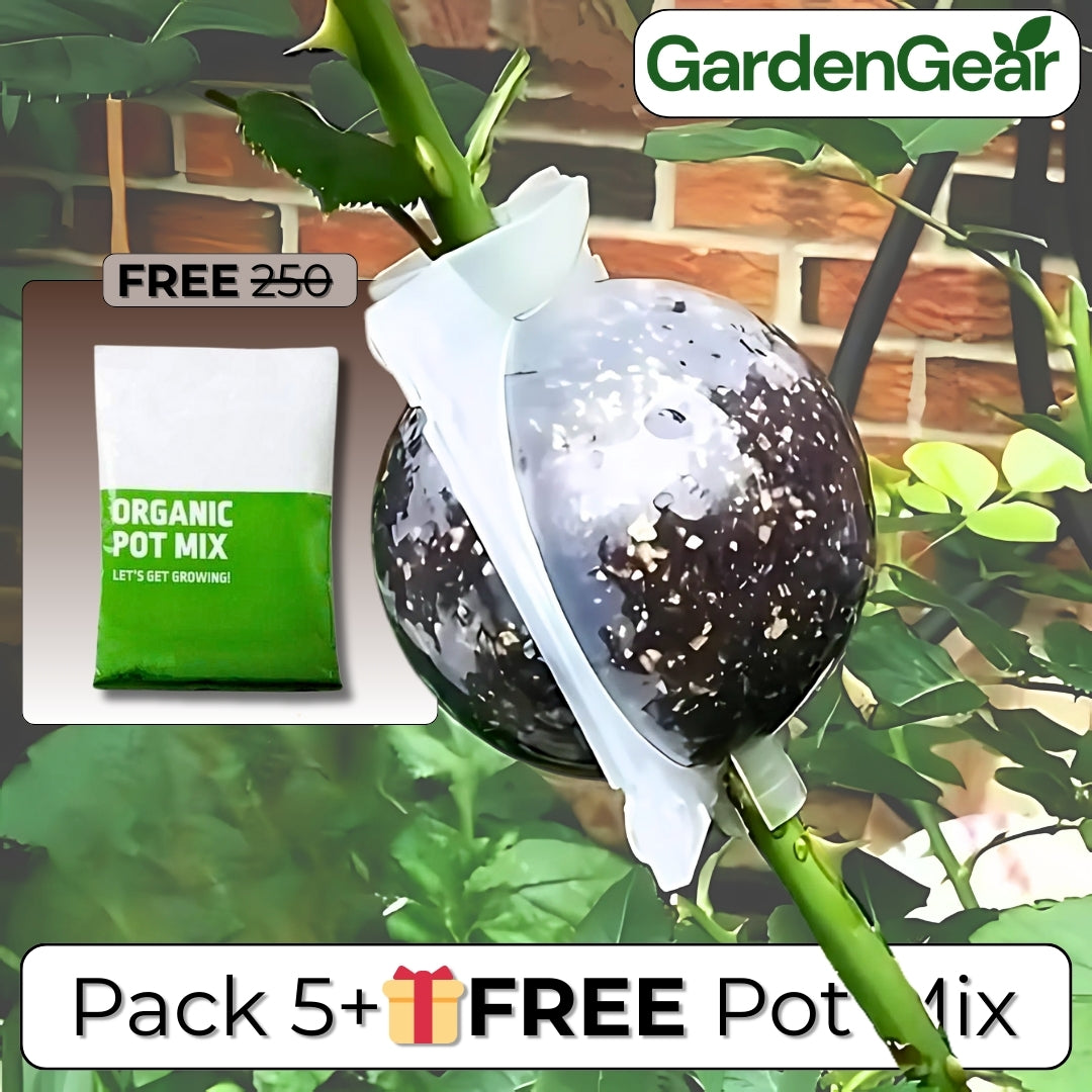 RootRise™ Reusable Plant Root Growth Box + Free Pot Mix (100gm)