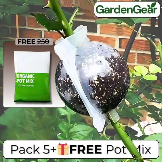 RootRise™ Reusable Plant Root Growth Box + Free Pot Mix (100gm)