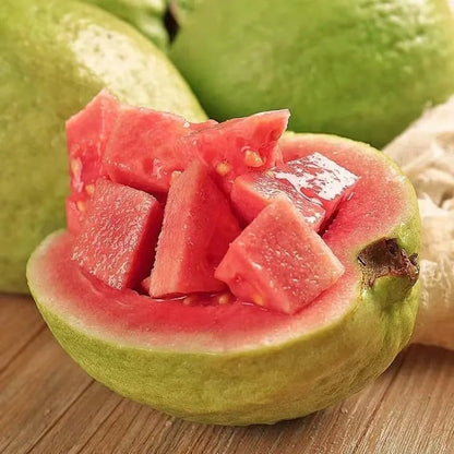 Imported Thai Pink Guava Seeds + Free Potting Mixture (100g)