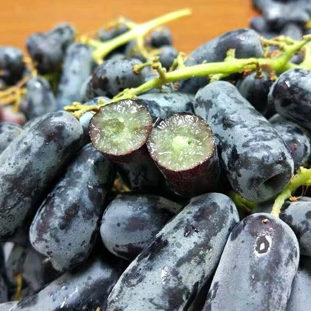 Premium Sweet Sapphire Grape Seeds (Pack of 30)