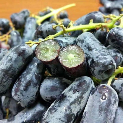 Premium Sweet Sapphire Grape Seeds (Pack of 30)