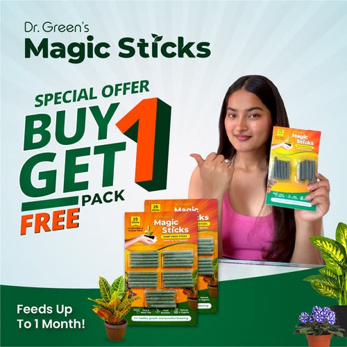 Dr.Green's - Magic Plant Sticks (Buy 1 & Get 1 Free)