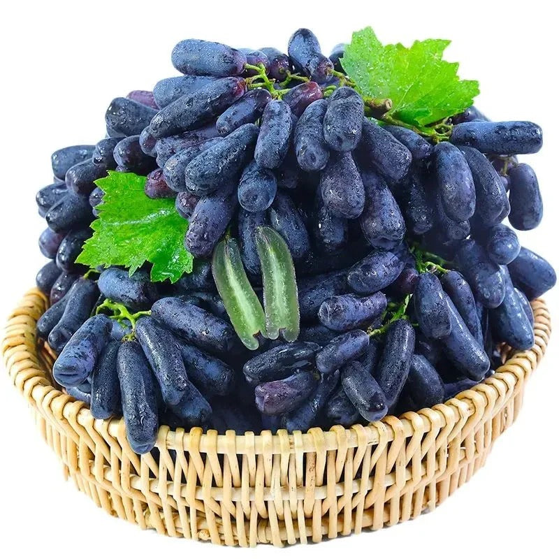 Premium Sweet Sapphire Grape Seeds (Pack of 30)