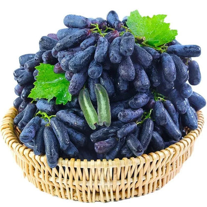 Premium Sweet Sapphire Grape Seeds (Pack of 30)