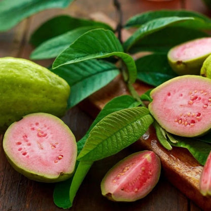 Imported Thai Pink Guava Seeds + Free Potting Mixture (100g)