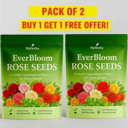 EverBloom Climbing Roses Seeds 🌸BUY 1 GET 1 FREE🌸