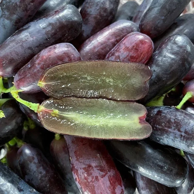Premium Sweet Sapphire Grape Seeds (Pack of 30)